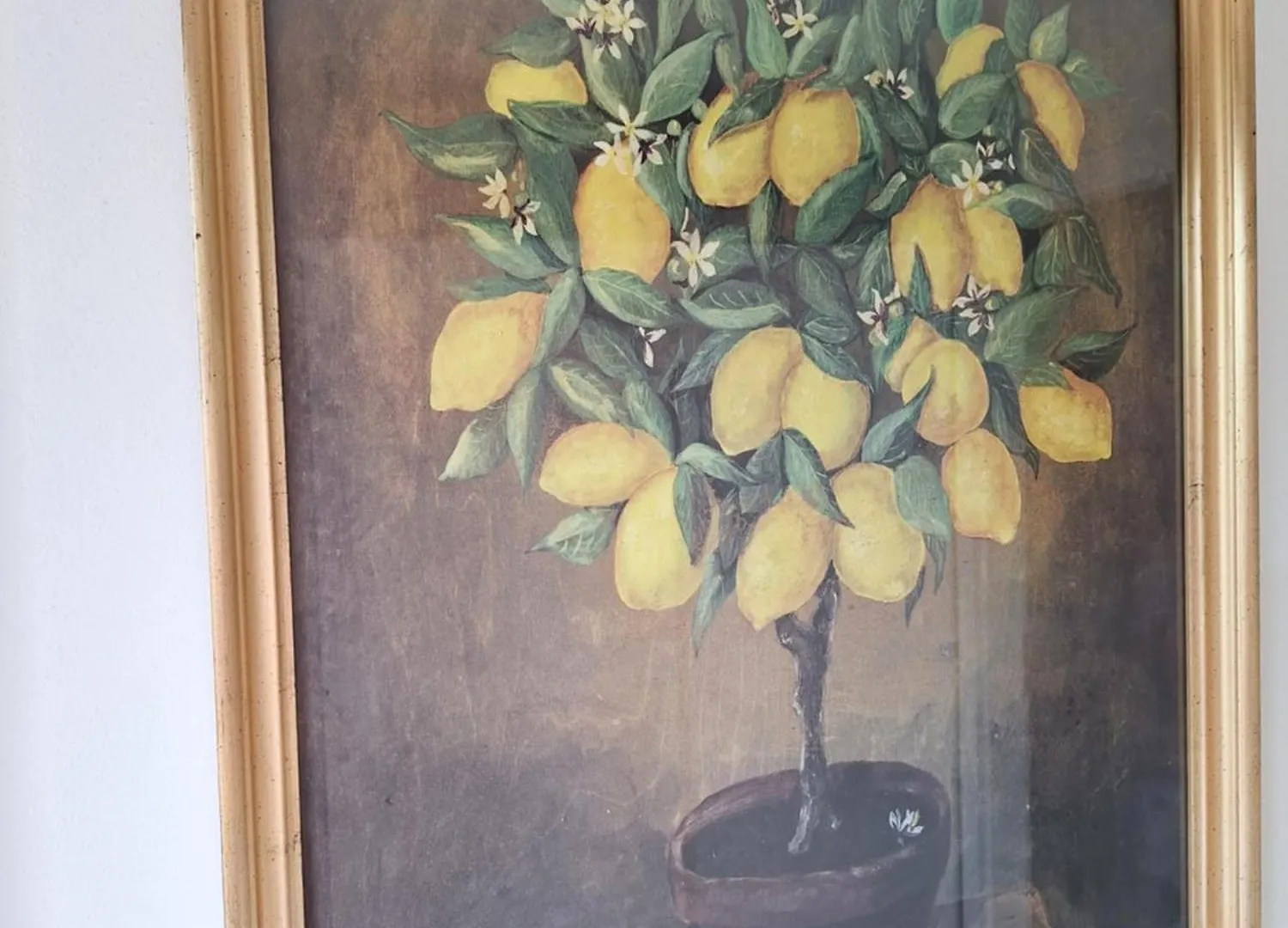 Villa Georgina Pieve  Apartment Pieve (Lombardy)